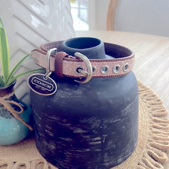 Coach Dog Coach Dog Collar Poshmark